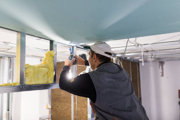 Best Insulation Installation Services in Dale City, VA